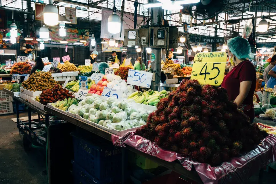 Explore Sugar Hill's Local Gems in Sugar Hill